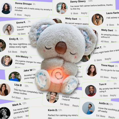 Koko! The Breath Koala